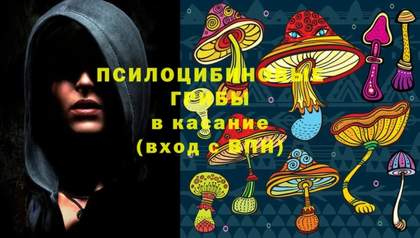 хмурый Богородицк
