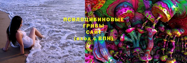 марки lsd Богданович