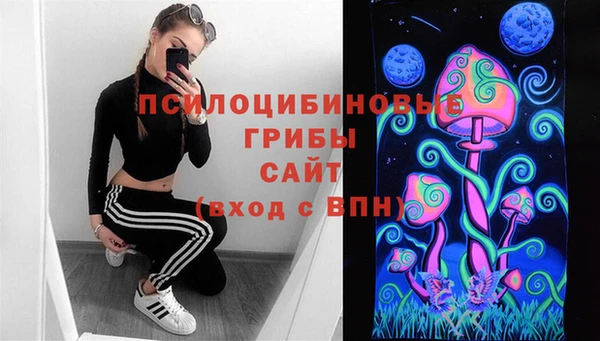 хмурый Богородицк