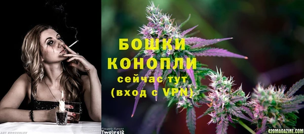 хмурый Богородицк