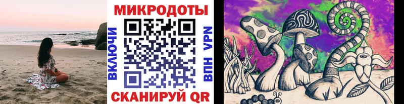 Псилоцибиновые грибы Cubensis KRAKEN ССЫЛКА Владимир